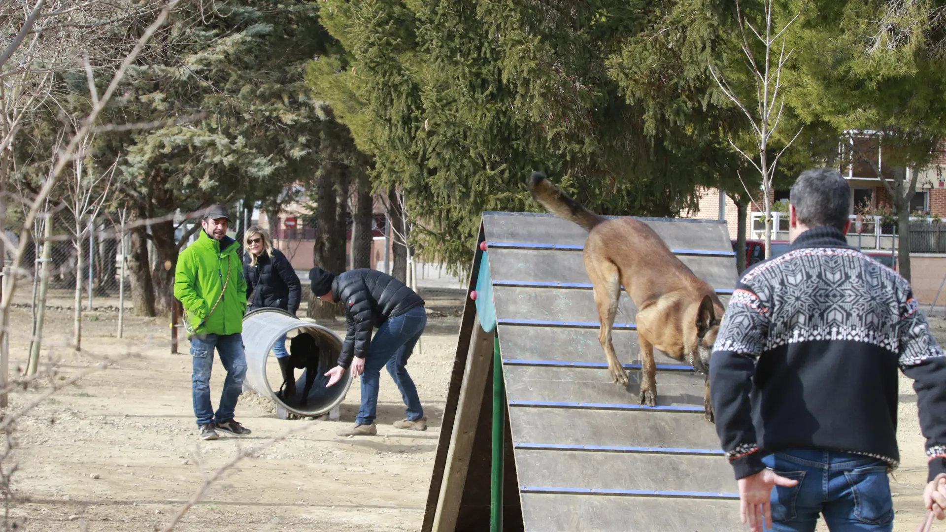 A licitación la mejora de tres zonas para perros y la creación de otras