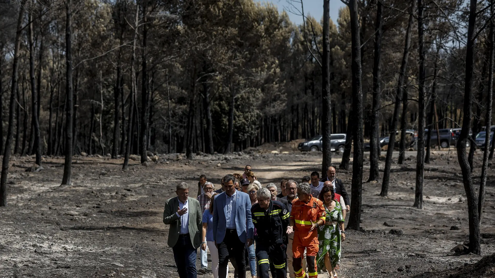 El Gobierno declarará como catastróficas las zonas de los grandes incendios