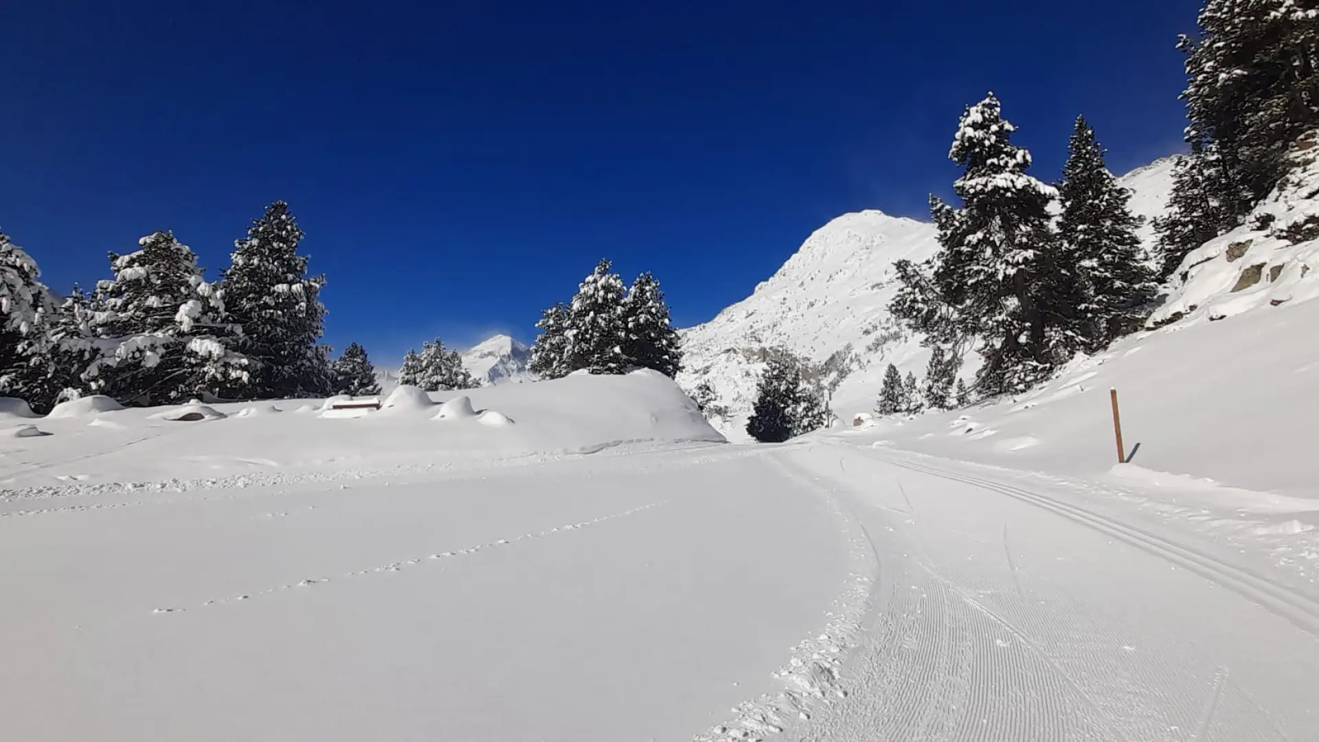 Aviso Amarillo Por Temperaturas M Nimas En El Pirineo Oscense