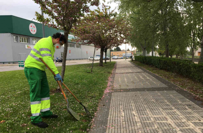 Desde Arcadia también se ofrece servicio de jardinería.