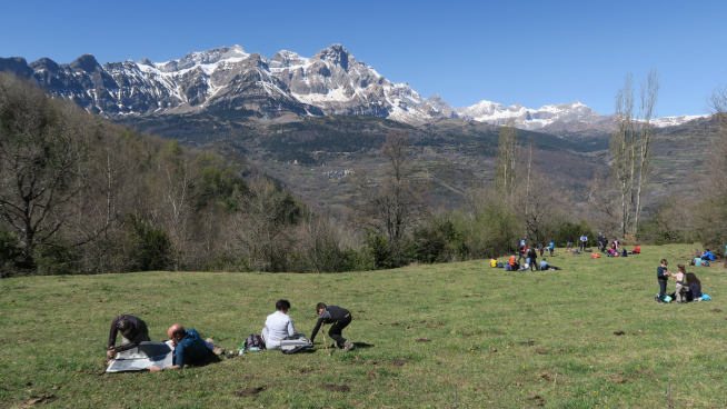 Disfrutando de las vistas en una pradera.