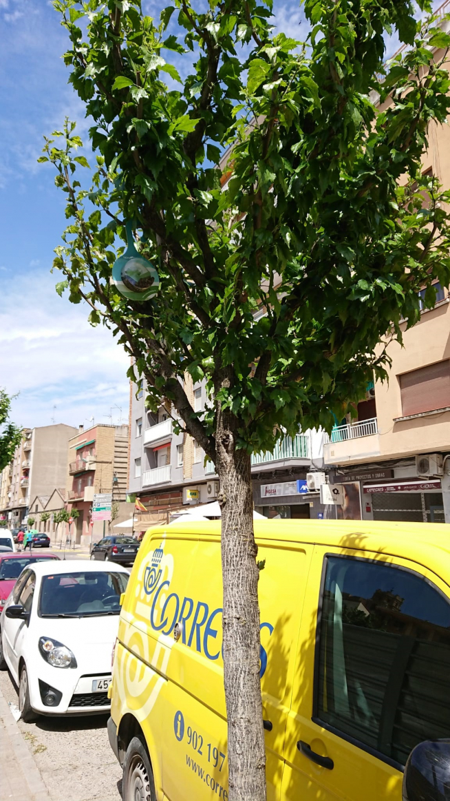 Suelta de insectos beneficiosos para controlar las perjudiciales para los árboles