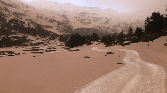 Fotografía del paisaje con el polvo sahariano cubriendo la nieve en Llanos del Hospital