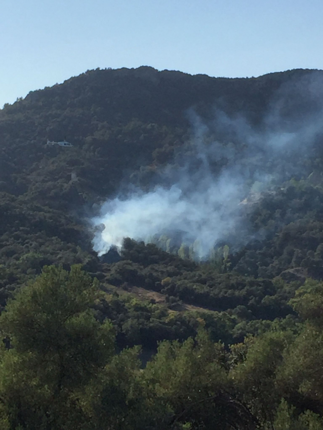 La rápida intervención evitó la propagación del fuego en una zona de arbolado de Secastilla.