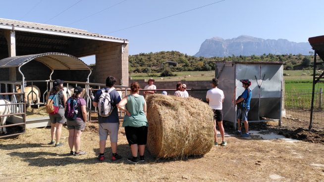 La explotación de ganadería ecológica Fes, de Aínsa, sirvió para conocer la Raza Pirenaica