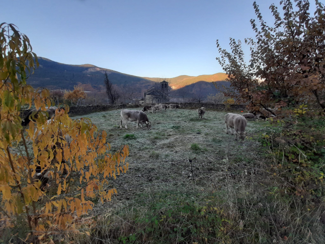 Biescas vive este fin de semana su Feria de Otoño
