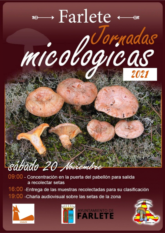 Cartel de la actividad.