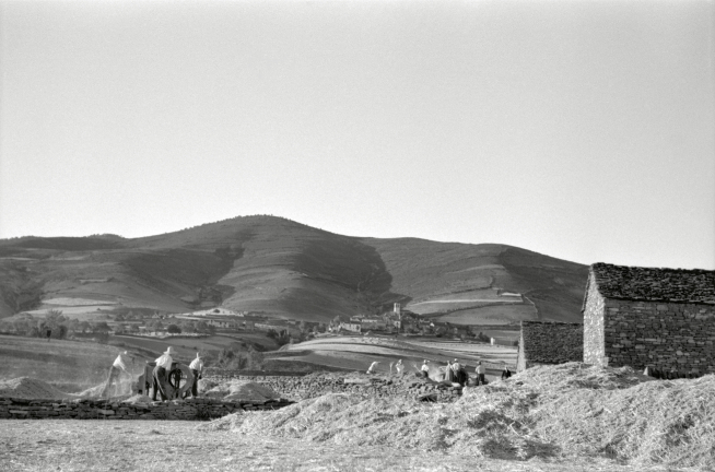 Joaquin Gil Marraco, 1946, Trilla en Noves.