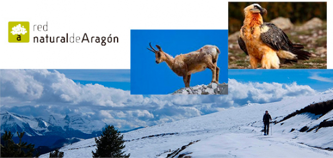 Mucho por disfrutar dentro de la Red Natura de Aragón.