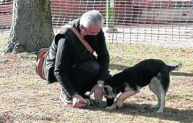 La II Feria de la Trufa de Graus contó con una demostración canina de búsqueda de trufa.