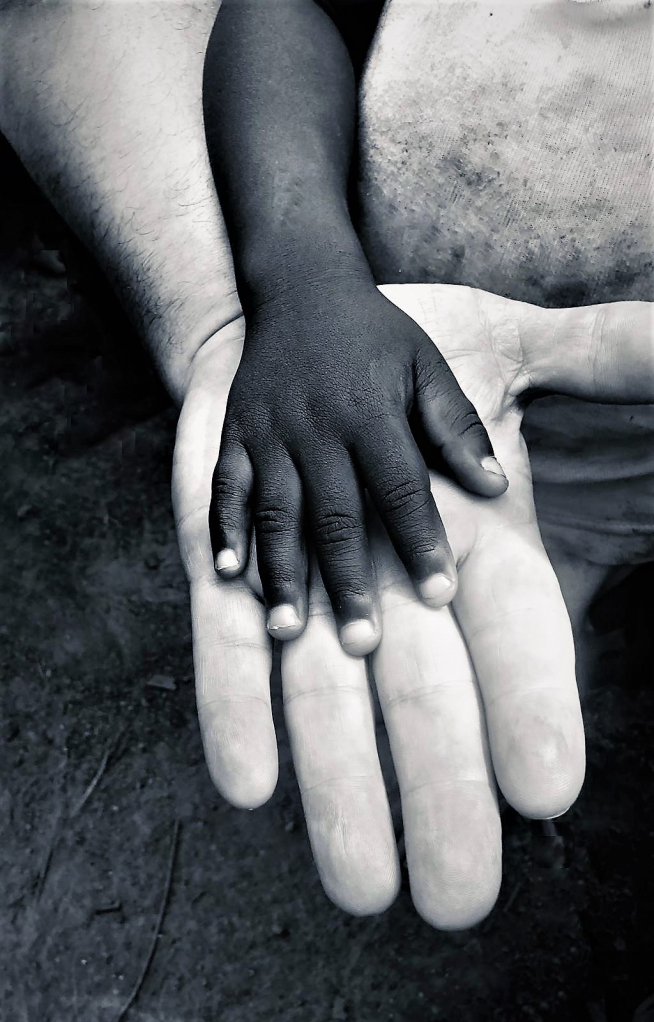 Foto de la portada del libro.