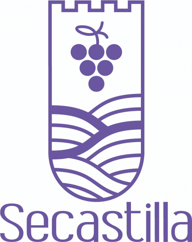 Escudo de Secastilla.