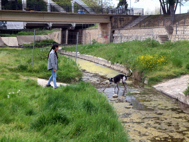 El río se seca antes de llegar al puente de San Miguel en la acequia de la Comunidad.