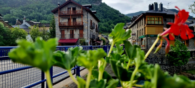 El Ayuntamiento de Broto planta estos días las flores que adquiere en el vivero provincial.