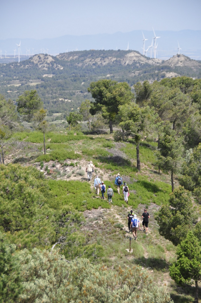 Visita al Monte Irazo.