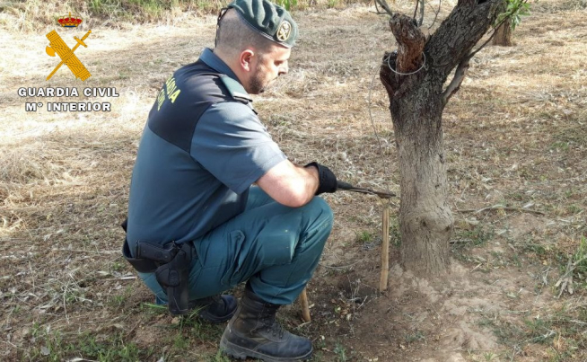 Uno de los agentes de la Guardia Civil durante la operación.