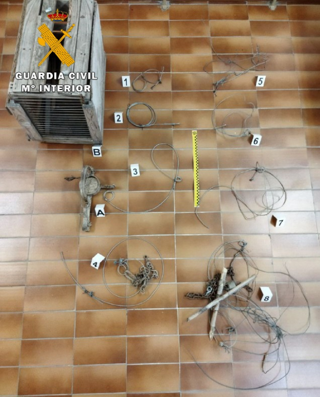 Efectos intervenidos por los agentes.