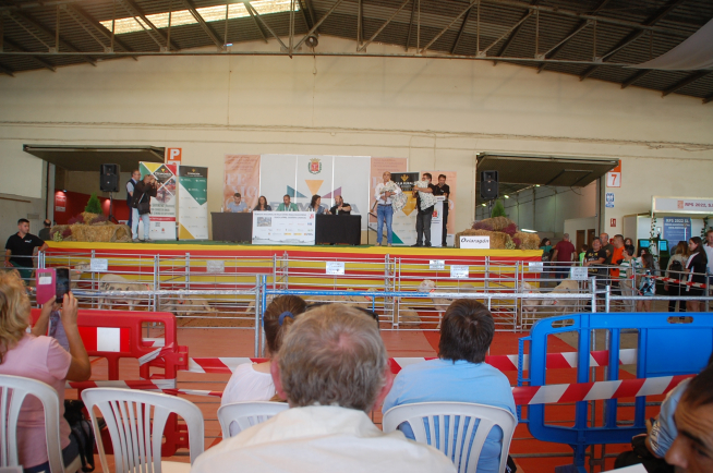 Asistentes a la subasta de ovino que se ha celebrado este sábado en Femoga.