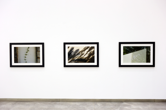 La exposición ‘Simbiosis’ forma parte de una trilogía del fotógrafo zaragozano.