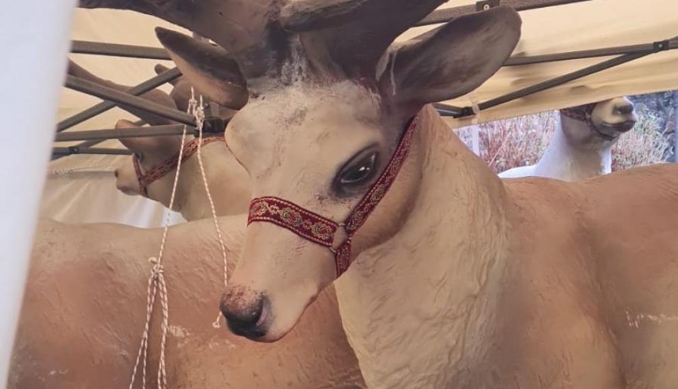 Los renos de Papa Noel no faltal en el mercado de Navidad de Panticosa