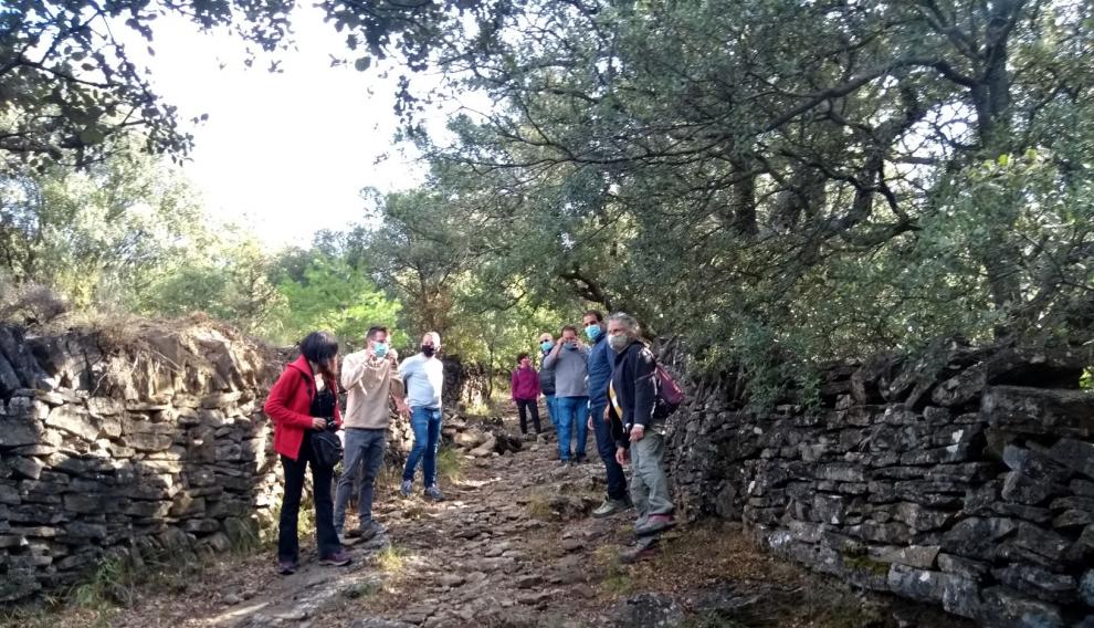 Actividad de "Muretes de Arte"
