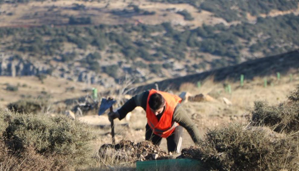 Realizan labores de conservación y seguimiento de los valores ambientales de cada zona.