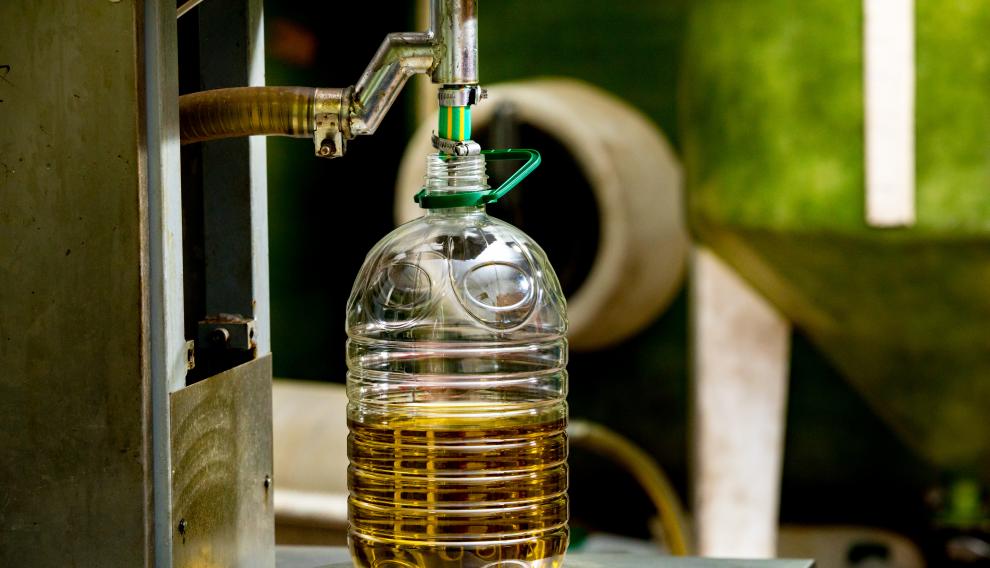 Proceso de extracción de aceite desde la almazara de la propia cooperativa.