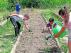 Niños y niñas riegan las plantas en el huerto escolar