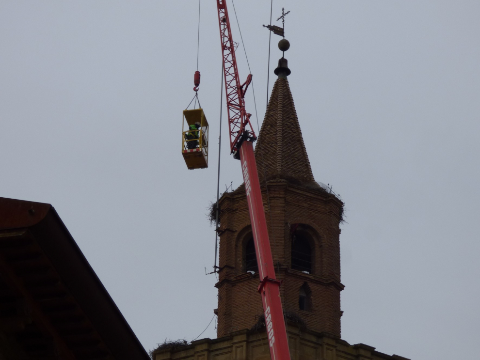 Retirada de nidos de cigüeña en Barbastro