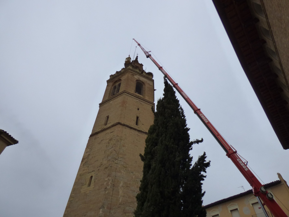 Retirada de nidos de cigüeña en Barbastro