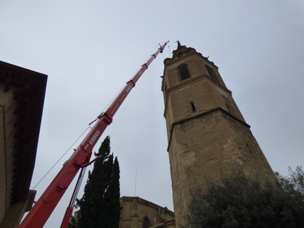 Retirada de nidos de cigüeña en Barbastro