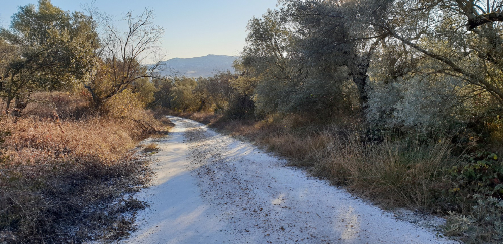 Nieve en el Alto Aragón este jueves 24 de enero