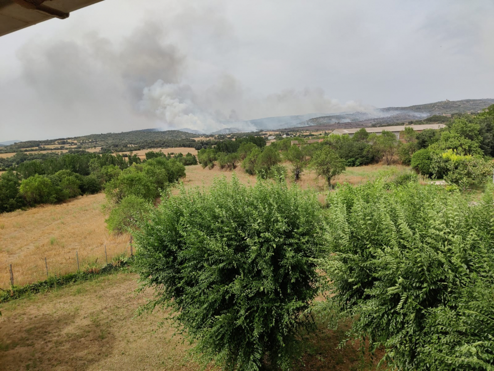 Incendio de campos de cultivo declarado en Torres del Obispo.