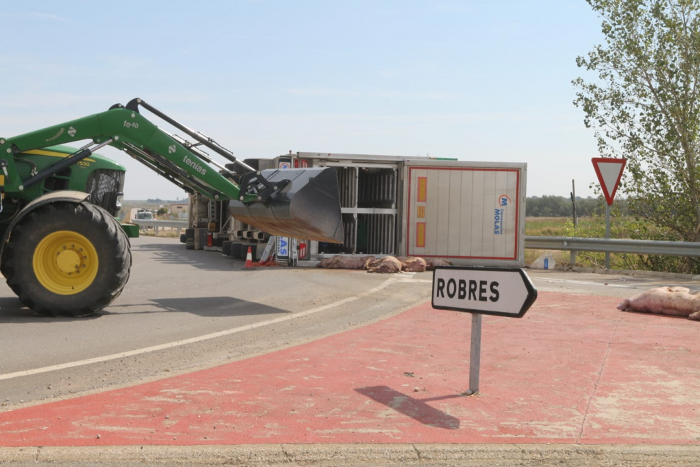 Un camión cargado con cerdos ha volcado en una rotonda de Grañén.