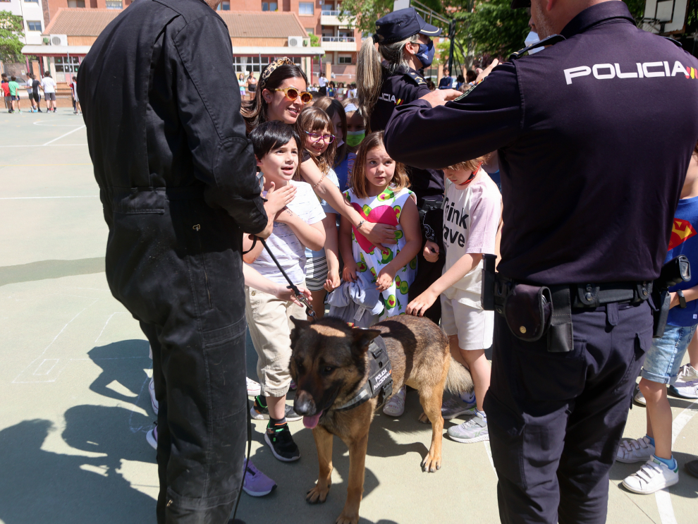 Exhibición de perros de Policía.