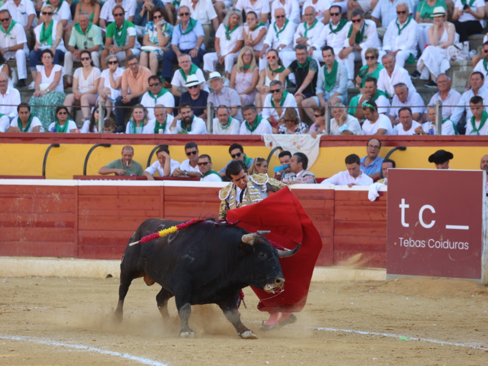 toros[[[DDA FOTOGRAFOS]]]