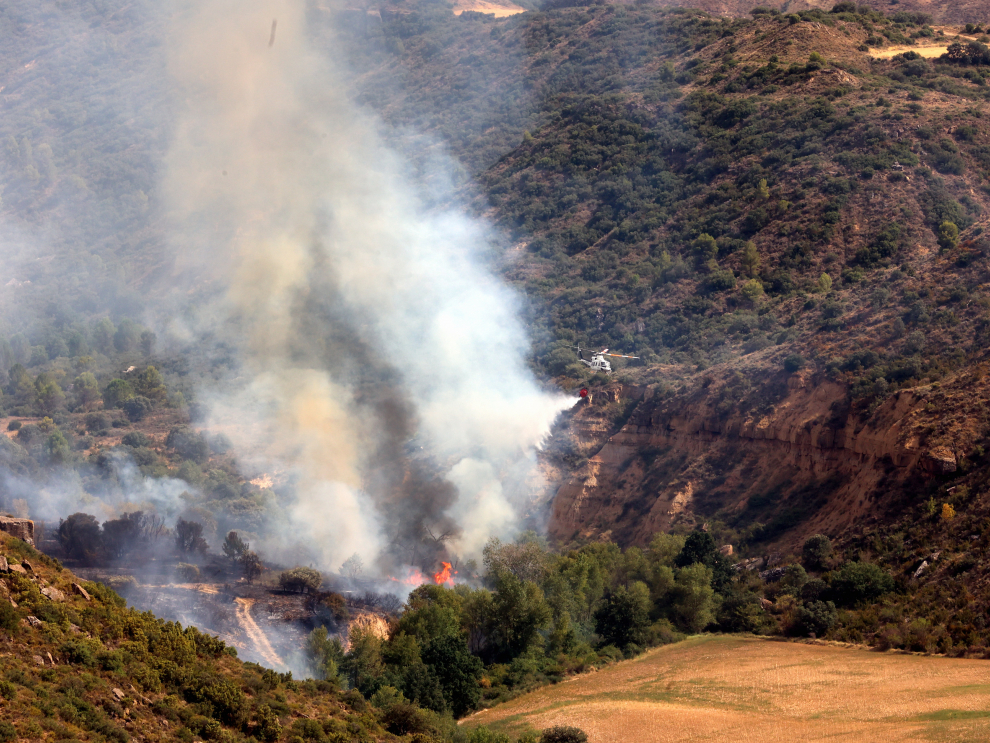 Medios aéreos y terrestres trabajan para extinguir las llamas.