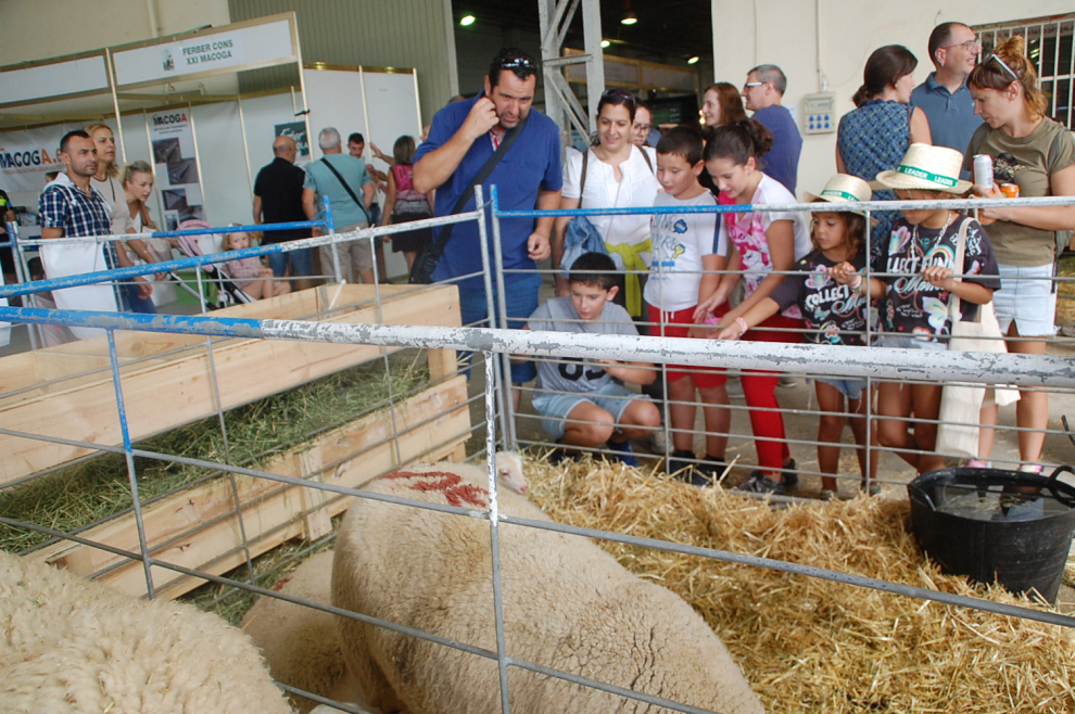 La Feria de Sariñena ha atraído la atención de más de 42.000 visitantes.