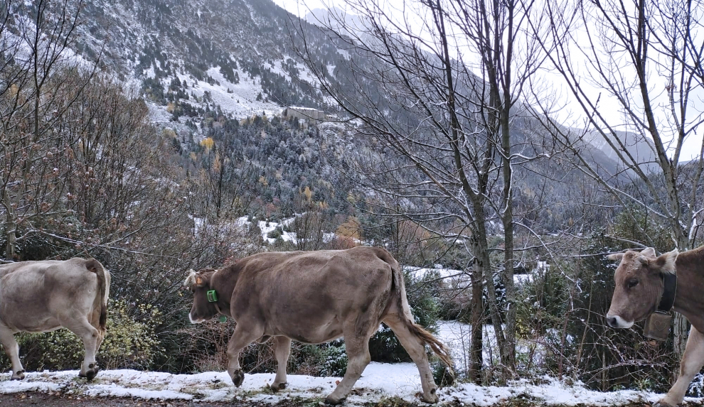 Después de la tormenta, llega el sol. Espectacular el Pirineo nevado.
