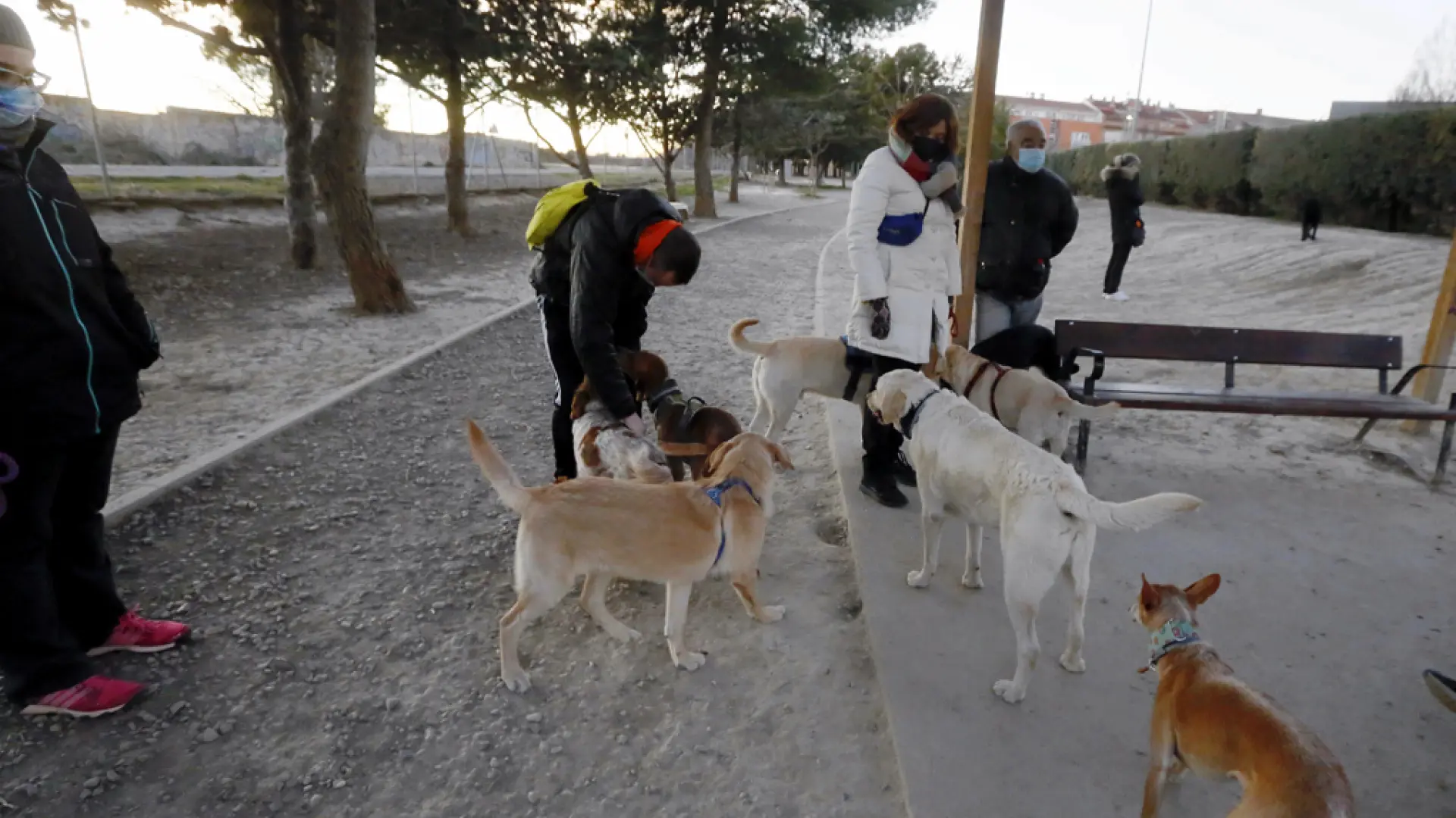 se permiten perros en el paseo del río san antonio