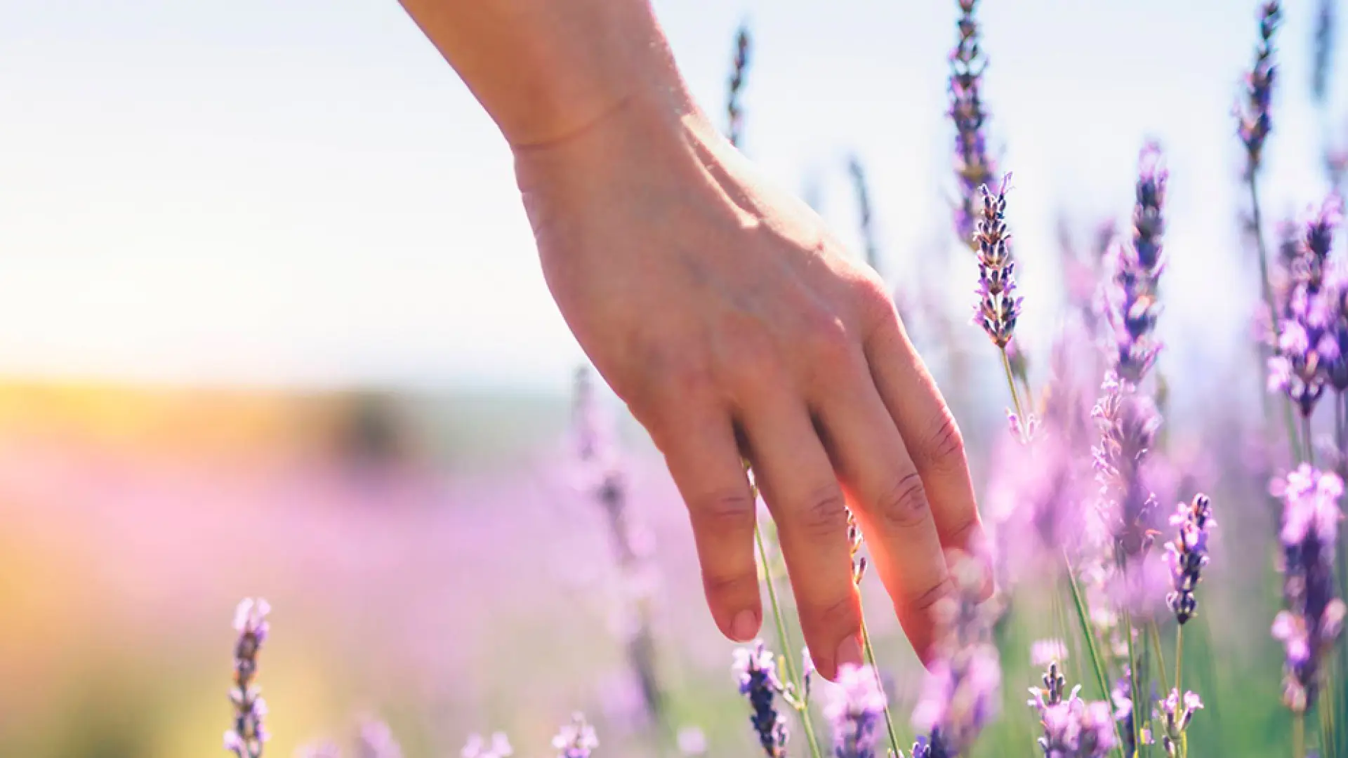 Doña Yolanda Solana Mateo