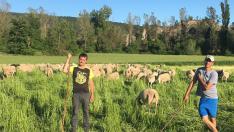 Los hermanos Sergio y Santi Citoler han apostado por el ovino para continuar en Tierrantona