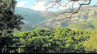 Vista del monte desde el mirador de Samper, el lugar de la provincia escogido por Jorge Lafuente