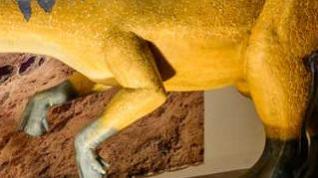 Museo Dinosaurios Aren