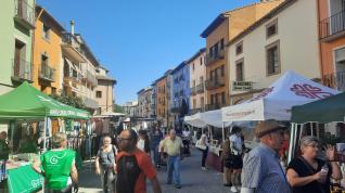 Los puestos de la feria han ocupado desde San Miguel hasta la Glorieta del Lleida.