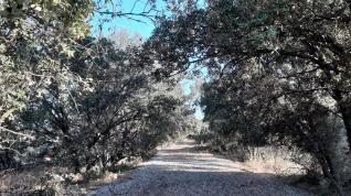 El ayuntamiento de Monzón, DPH y Fundación de Ferrocarriles Españoles analizan el trazado de la vía verde