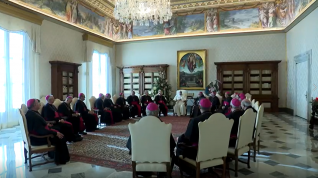 Los obispos aragoneses junto al papa