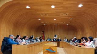 pleno comarcal Asistentes al pleno extraordinario celebrado en la Comarca de Los Monegros para aprobar los presupuestos.
