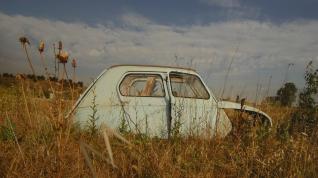 Un coche abandonado en el campo y que se ha mimetizado con el paisaje.
