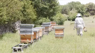 La bióloga Azpe García se dedica a la producción de miel y a la educación ambiental.